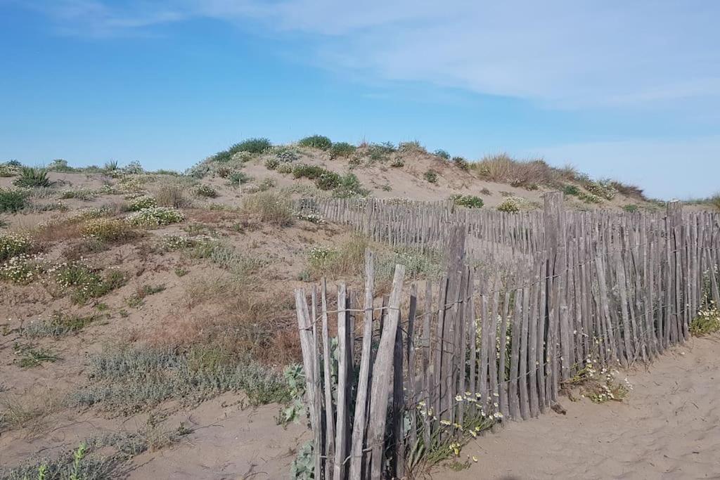 Marseillan-Plage Appartement Coeur De Sable ภายนอก รูปภาพ